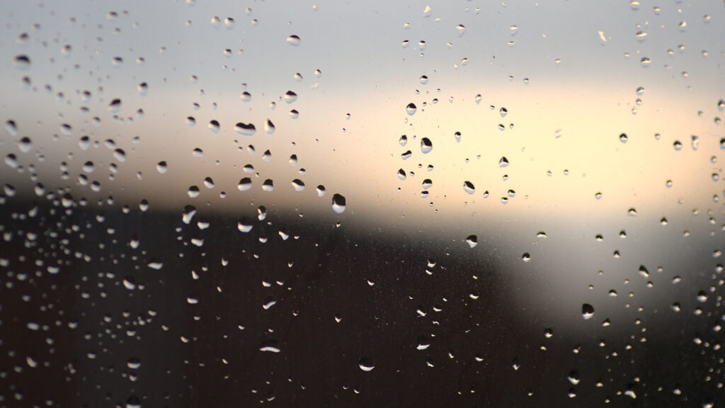 Rainy windows