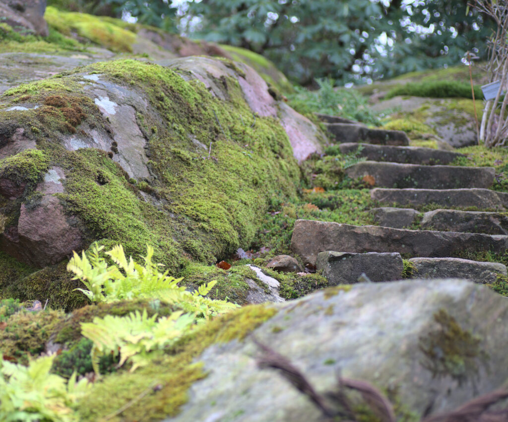 Botanical Garden, Gothenburg